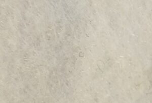 Pannolenci pretagliato 50*50 bianco