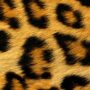 Siser termoadesivo easy pattern wild leopard