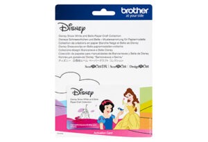 Scheda disney n.6
