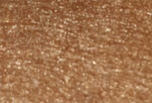 Feltro miola colore n.31 nocciola