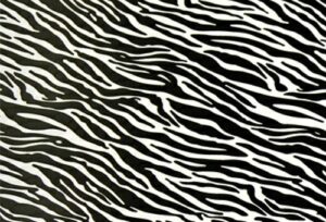 Siser termoadesivo easy pattern Zebra